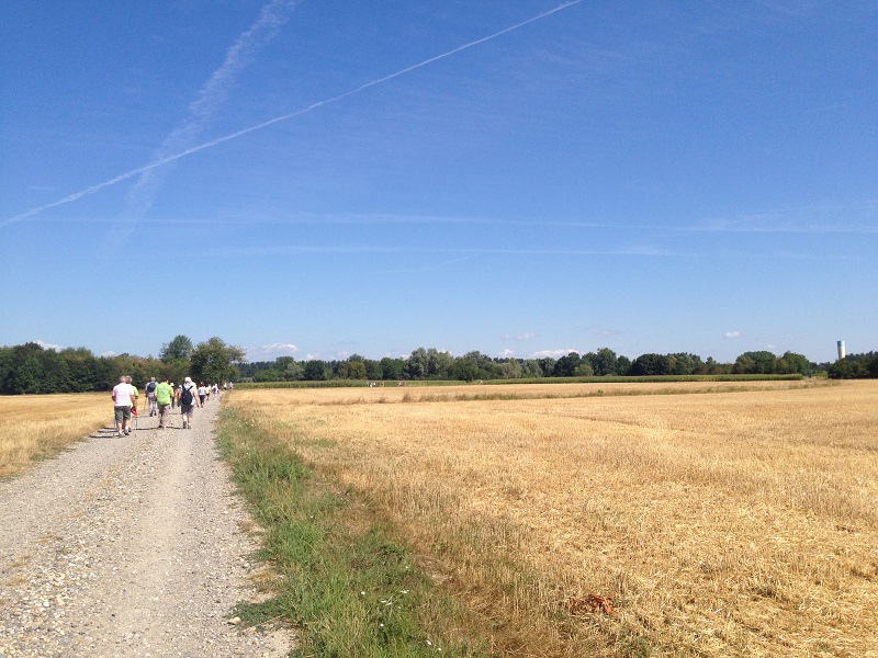 Sentier pédestre