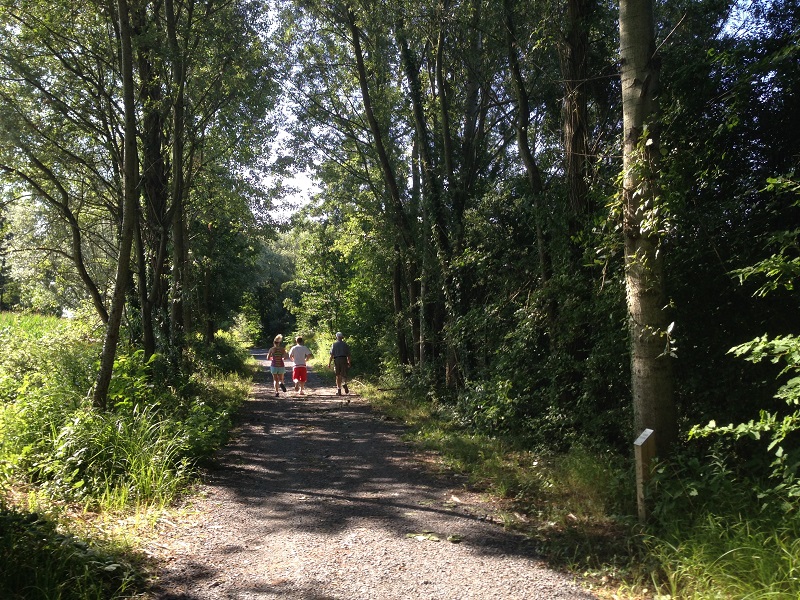 Sentier pédestre