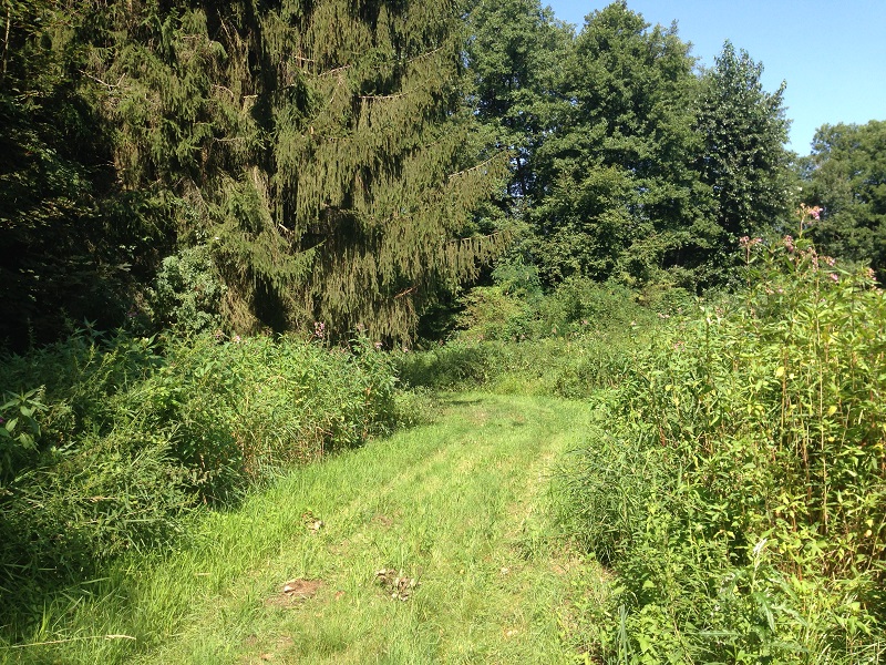 Le sentier pédagogique