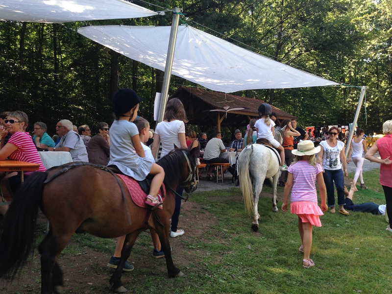 Promenades à poney