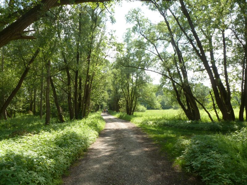 Sentier pédestre