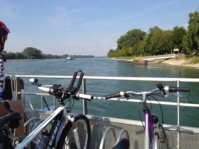 Le Rhin vue du Bac