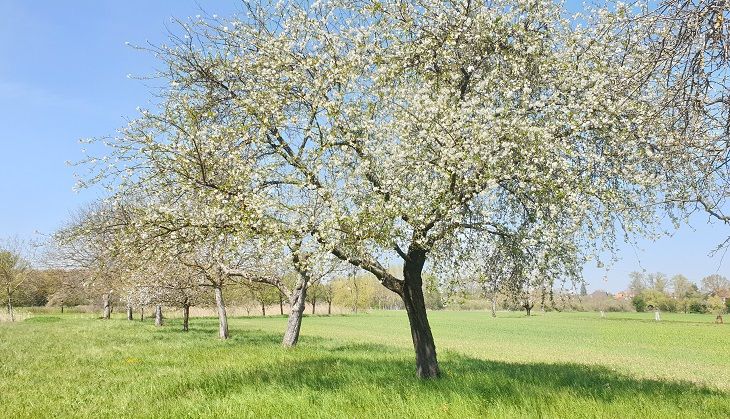 <center>Ce printemps, reconnectez-vous avec la nature ! Téléchargez notre <b>GUIDE DES RANDONNÉES</b>