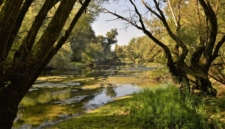 VISITES GUIDEES A PIED dans la Réserve naturelle delta de la Sauer, Munchhausen - 4 et 21 octobre, et 6 décembre 2025 - Sur inscription